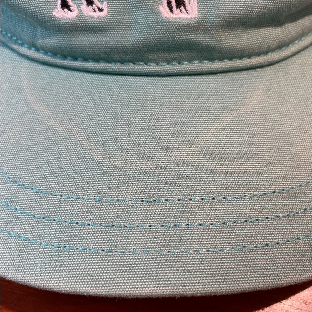 Patagonia Fitz Roy buffalo trucker hat - Picture 6 of 6